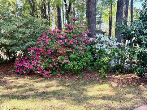 1520 Faith Street Mount Pleasant SC 29466