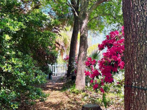 1520 Faith Street Mount Pleasant SC 29466