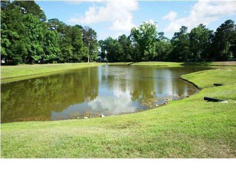 324 Barberry Street Summerville SC 29483