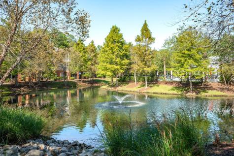 1908 Basildon Road Mount Pleasant SC 29466