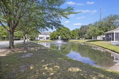 403 Tree Branch Circle Summerville SC 29483