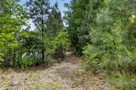 7089 Pumpkinseed Drive Johns Island SC 29455