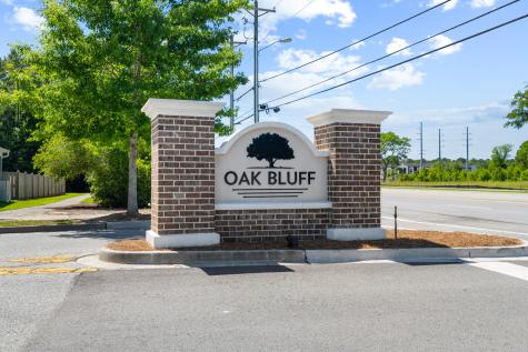 1413 Tangles Trail Charleston SC 29492