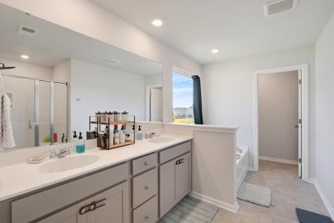 122 Camellia Bloom Drive Moncks Corner SC 29461
