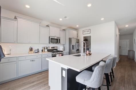122 Camellia Bloom Drive Moncks Corner SC 29461