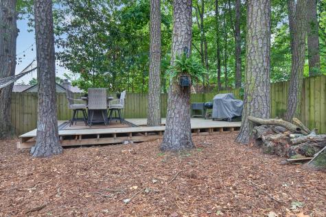 179 Braly Drive Summerville SC 29485
