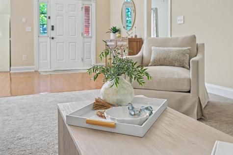 101 Horse Shoe Bay Court Summerville SC 29483