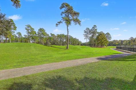 101 Horse Shoe Bay Court Summerville SC 29483