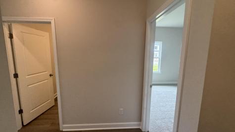 5364 Crinum Lilly Summerville SC 29485