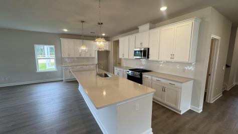 5364 Crinum Lilly Summerville SC 29485