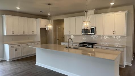 5364 Crinum Lilly Summerville SC 29485