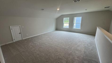 5364 Crinum Lilly Summerville SC 29485