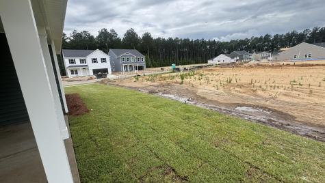 5364 Crinum Lilly Summerville SC 29485