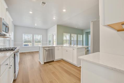 424 Water Orchid Way Moncks Corner SC 29461