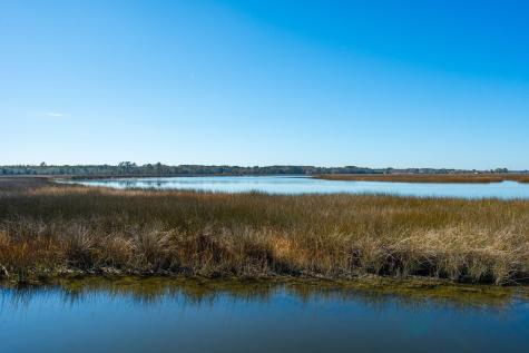 538 Towles Crossing Drive Johns Island SC 29455