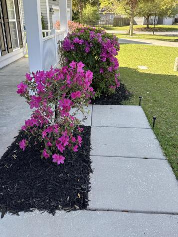 5275 Mulholland Drive Summerville SC 29485