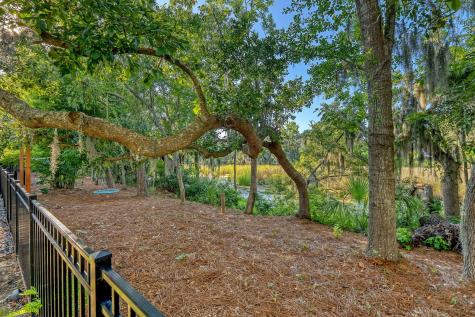 1636 Oak Leaf Street Daniel Island SC 29492