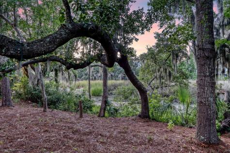 1636 Oak Leaf Street Daniel Island SC 29492