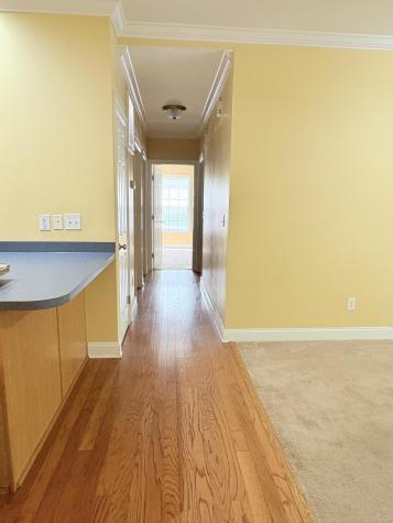 4005 Radcliffe Place Drive Charleston SC 29414
