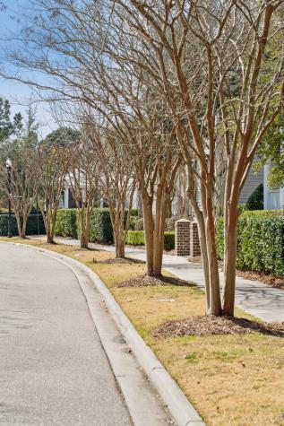 217 Amberjack Lane Charleston SC 29492
