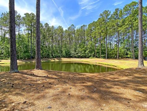 4853 Rocking Porch Lane Summerville SC 29485