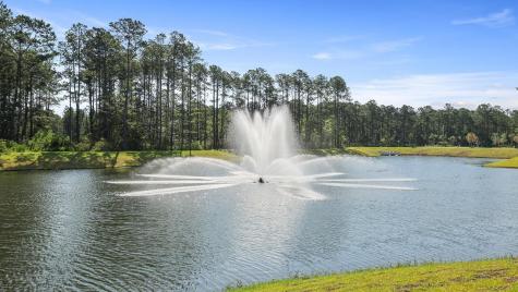 3162 Dalmore Drive Ravenel SC 29470
