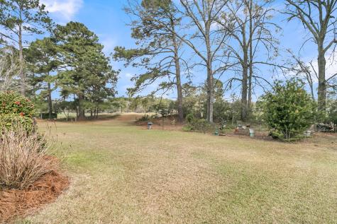 411 Prestwick Court Summerville SC 29483