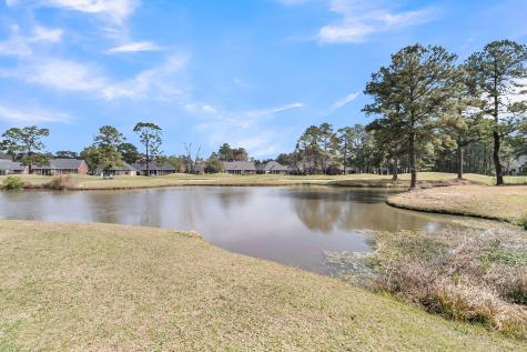 411 Prestwick Court Summerville SC 29483