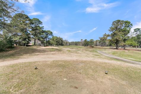 411 Prestwick Court Summerville SC 29483
