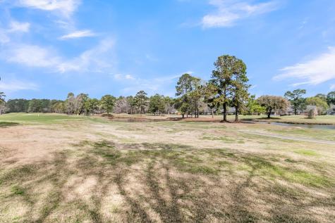 411 Prestwick Court Summerville SC 29483