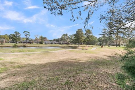 411 Prestwick Court Summerville SC 29483