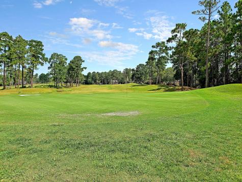 411 Prestwick Court Summerville SC 29483