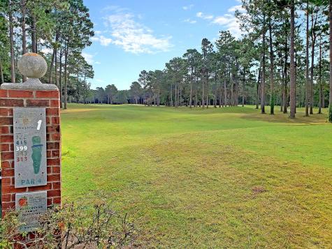 411 Prestwick Court Summerville SC 29483