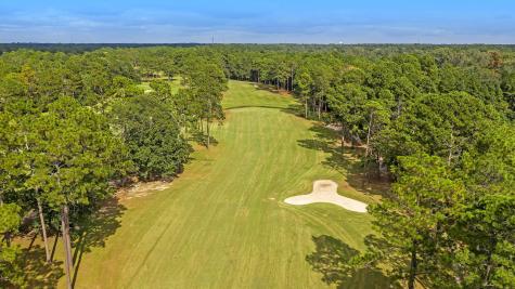 411 Prestwick Court Summerville SC 29483
