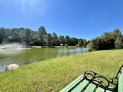 7 Thomas Walter Circle Santee SC 29142