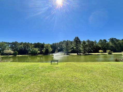 7 Thomas Walter Circle Santee SC 29142