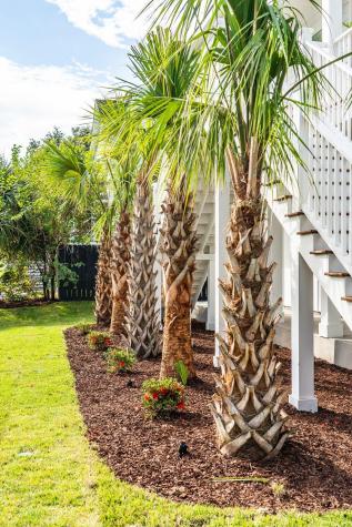 3 24th Avenue Isle Of Palms SC 29451