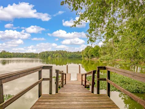 226 Garden Lily Lane Summerville SC 29485