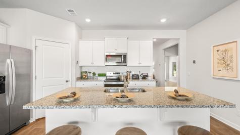 1116 Mulligan Drive Manning SC 29102