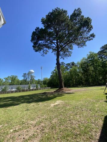 251 Judith Drive Summerville SC 29485