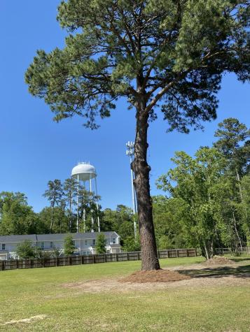 251 Judith Drive Summerville SC 29485