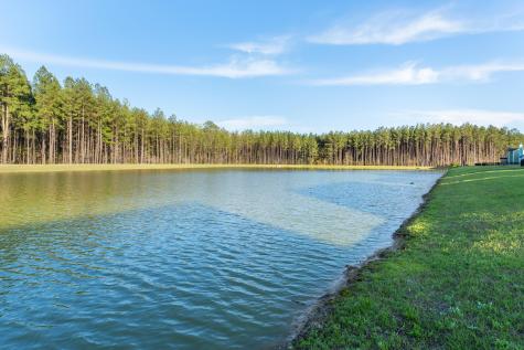 223 Summer Tanager Drive Ravenel SC 29470