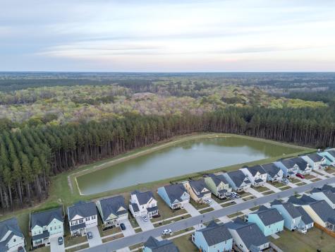 223 Summer Tanager Drive Ravenel SC 29470