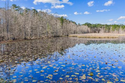 453 Eagleview Drive Moncks Corner SC 29461