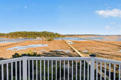 547 Little Barley Lane Charleston SC 29492