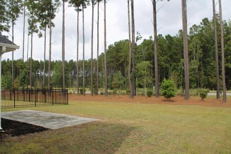 1008 Magnolia Warbler Way Ravenel SC 29470