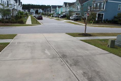 1008 Magnolia Warbler Way Ravenel SC 29470