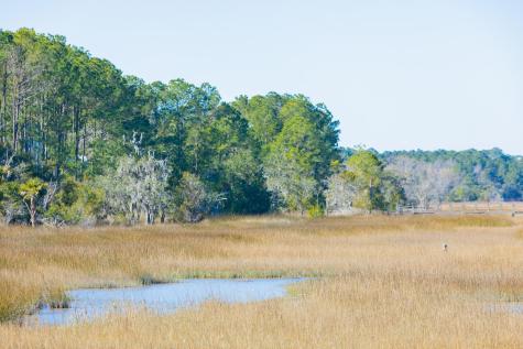 1632 John Fenwick Lane Johns Island SC 29455