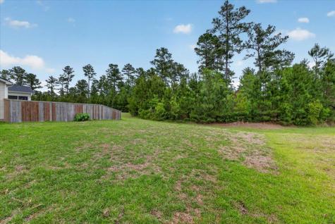 228 Bering Lane Summerville SC 29486