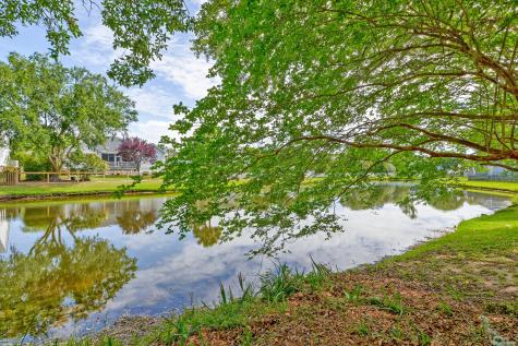 2660 Magnolia Woods Drive Mount Pleasant SC 29464